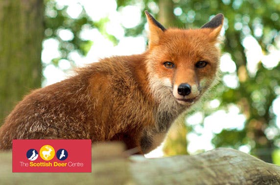 The Scottish Deer Centre