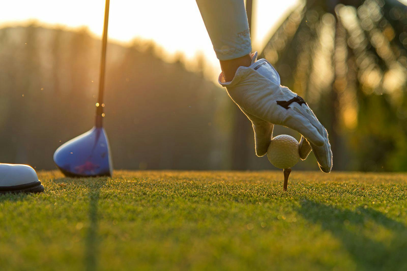 Elmwood Golf Course