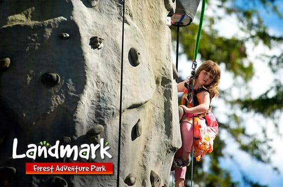 Landmark Forest Adventure Park