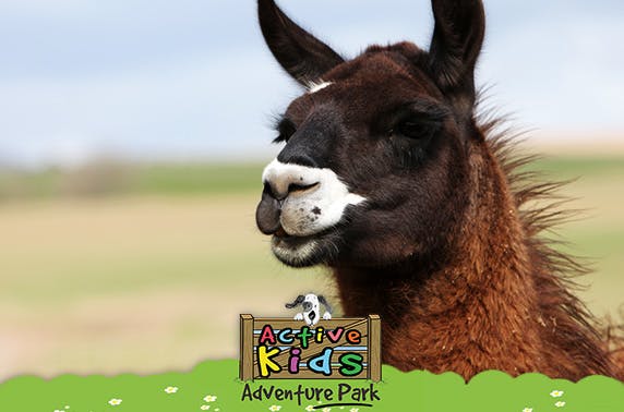 Active Kids Adventure Park