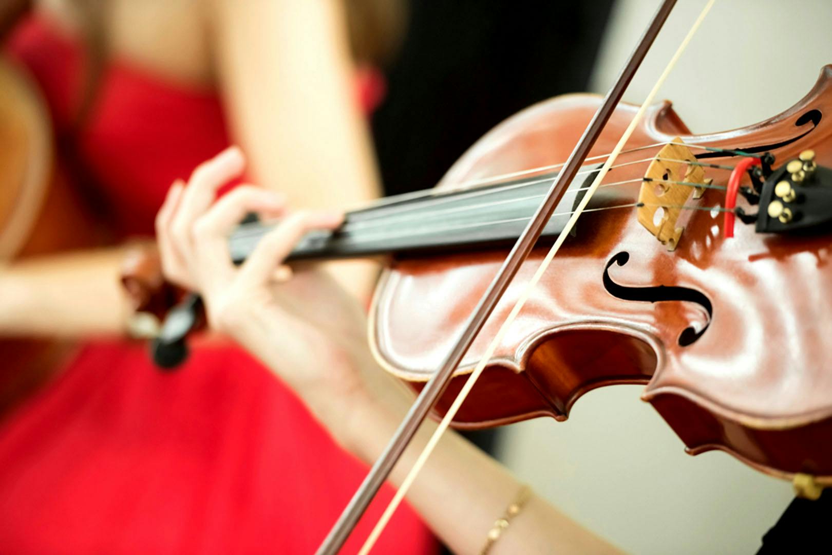 Vivaldi Four Seasons at Christmas by Candlelight