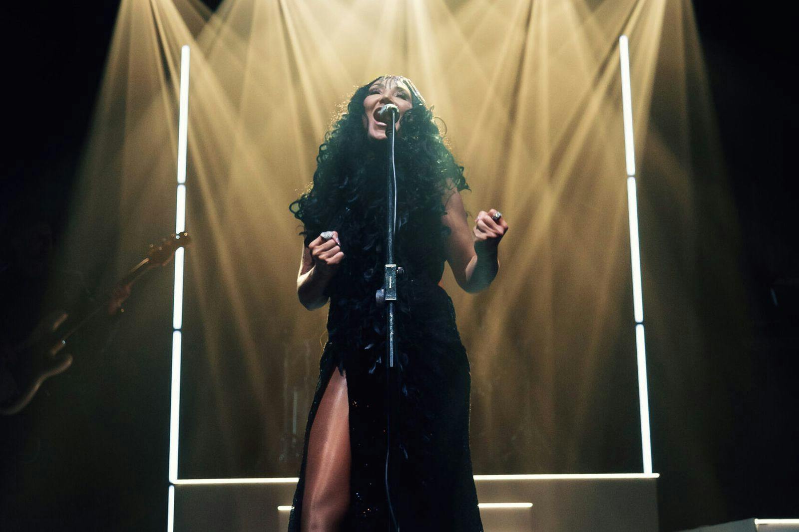 The Shoop Shoop Show - The Cher Collection