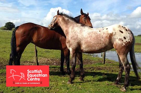 Scottish Equestrian Centre