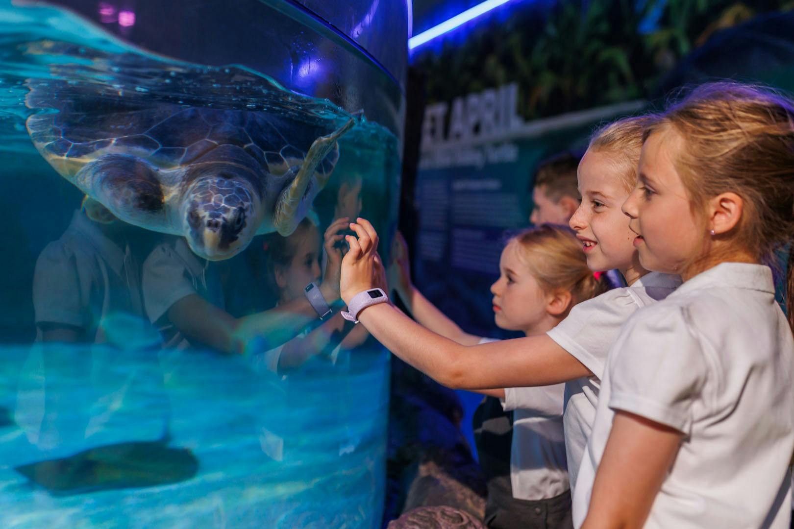 SEA LIFE Loch Lomond