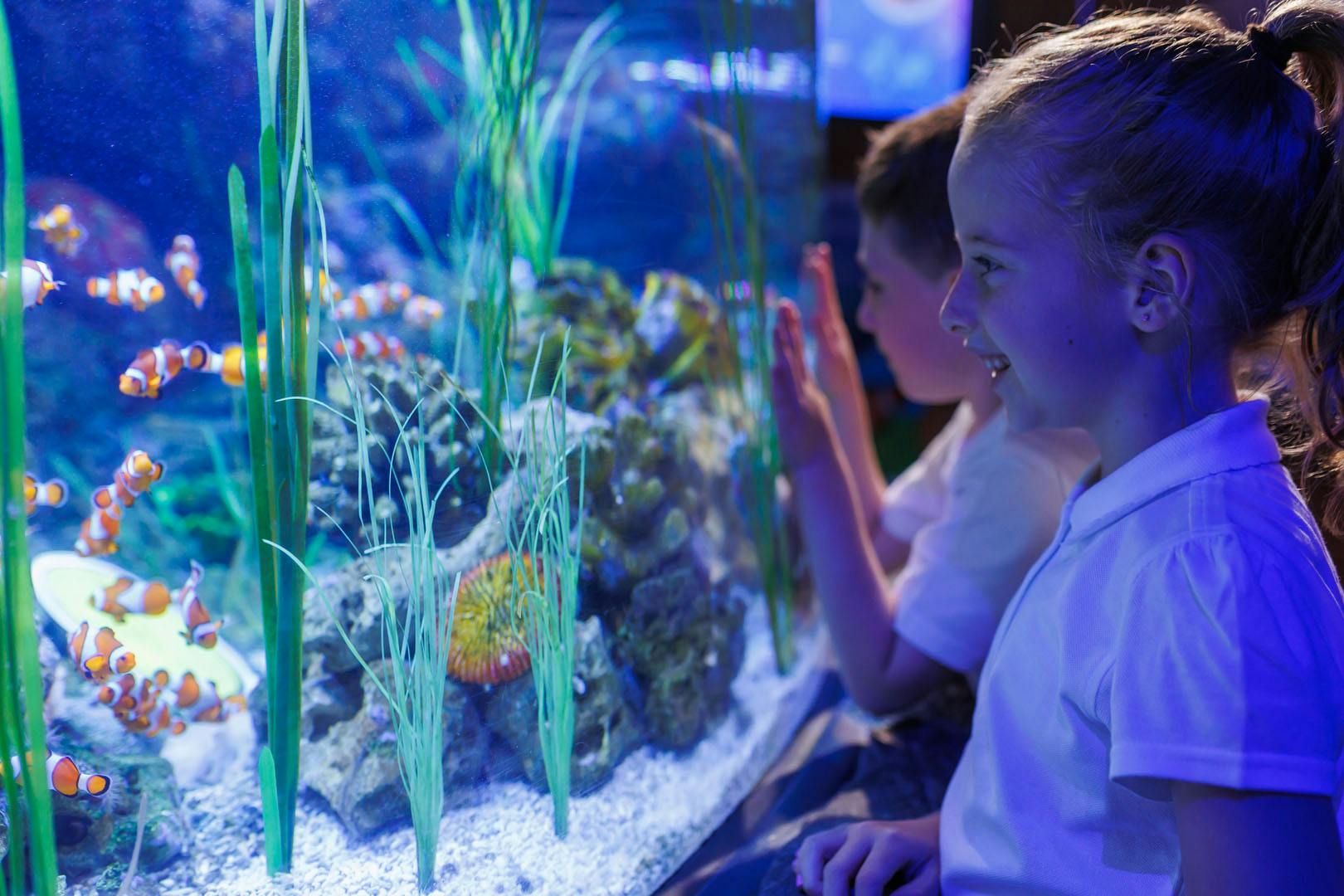 SEA LIFE Loch Lomond