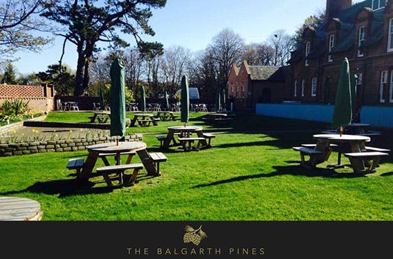 The Balgarth Pines