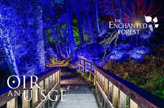 Enchanted Forest