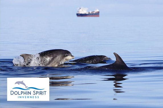 Dolphin Spirit Inverness