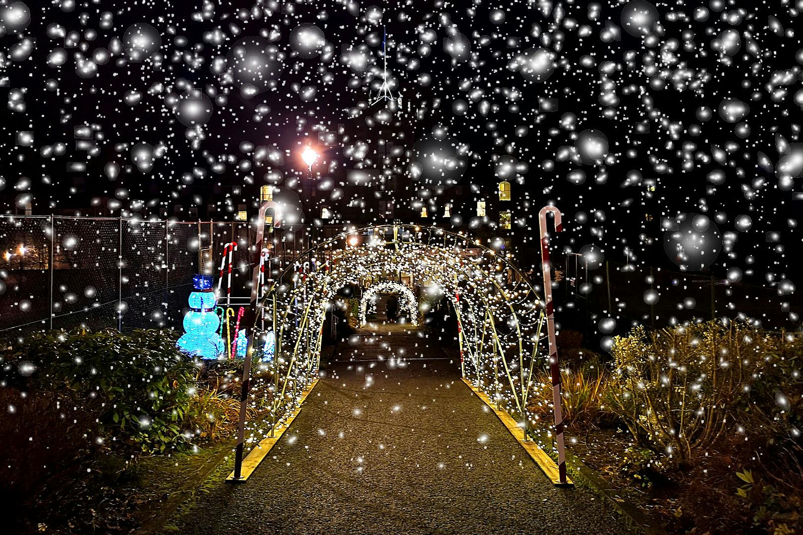 Crieff Hydro reindeer experience