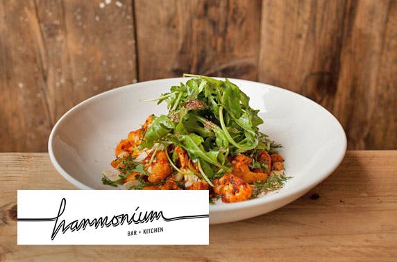 Harmonium Bar & Kitchen