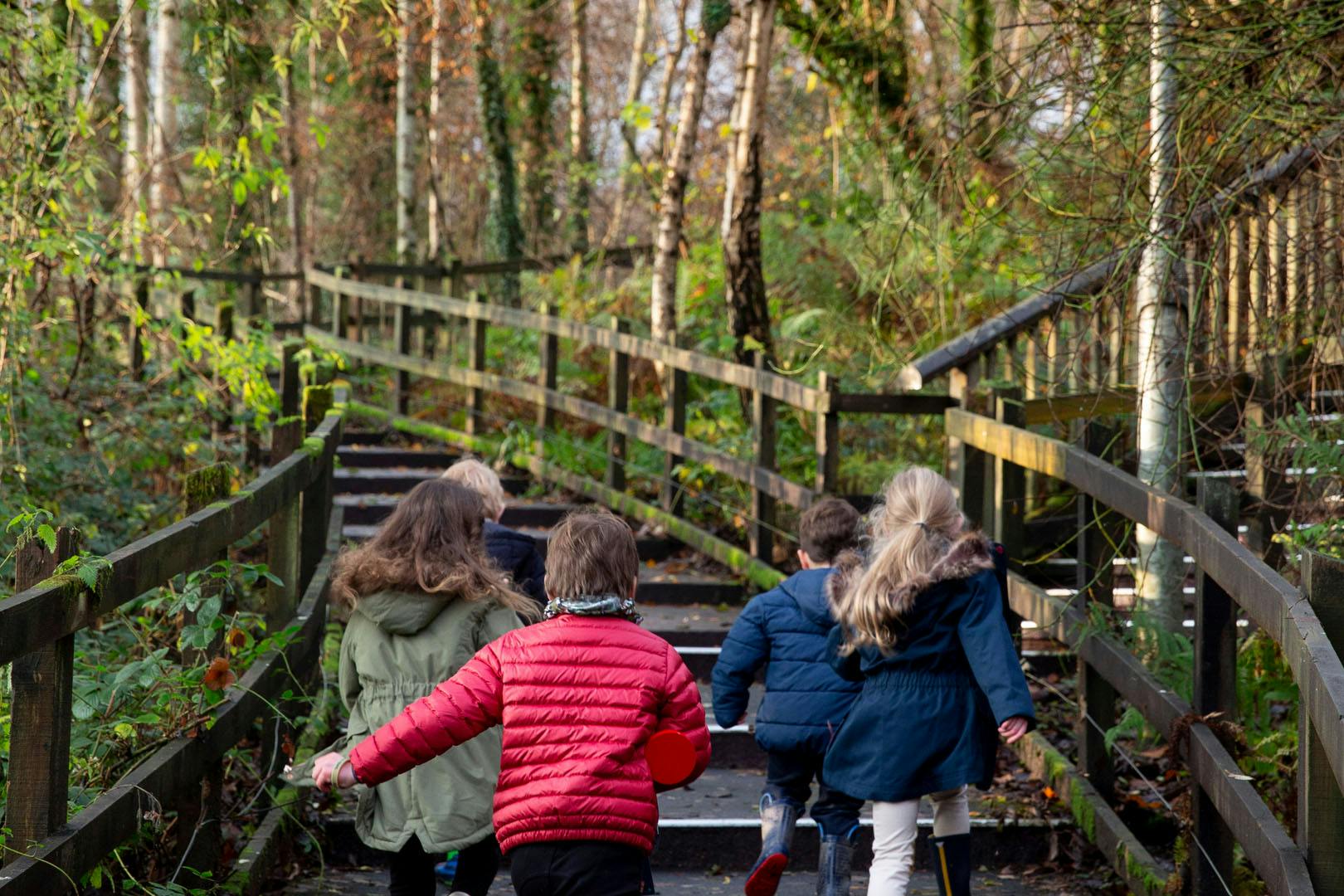 Loch Lomond Nature & Faerie Trails