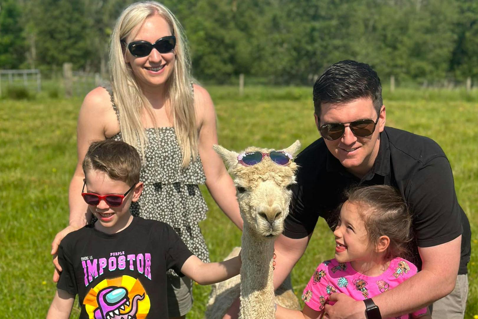 Alpacas Of Scotland Experience