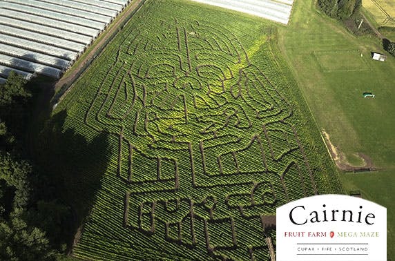 Cairnie Fruit Farm