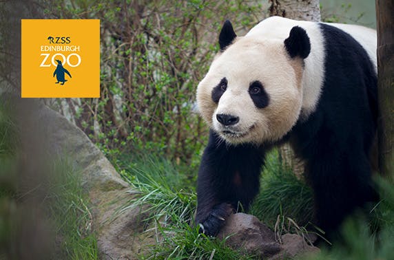Edinburgh Zoo