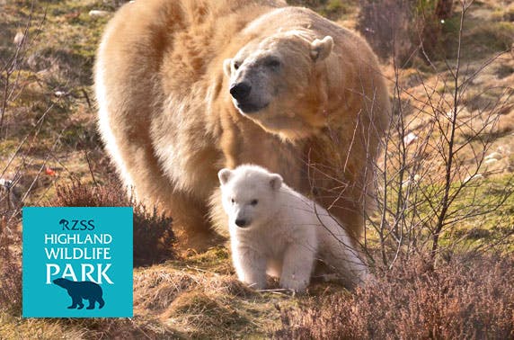 The Highland Wildlife Park