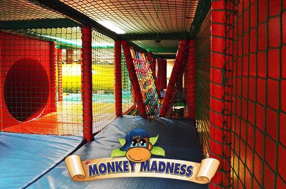 Monkey Madnesss