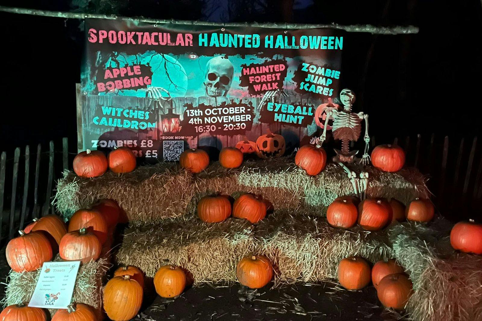 Auchingarrich Wildlife and Adventure Park