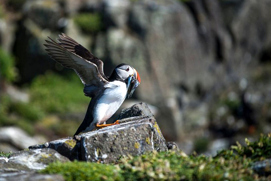 Edinburgh Marine Academy
