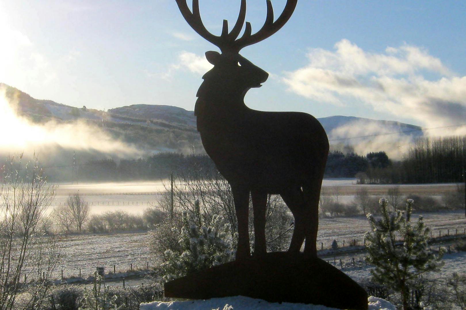 Highland Safaris