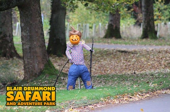 Blair Drummond Safari and Adventure Park 