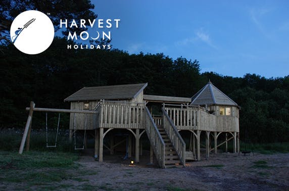 Harvest Moon Holidays