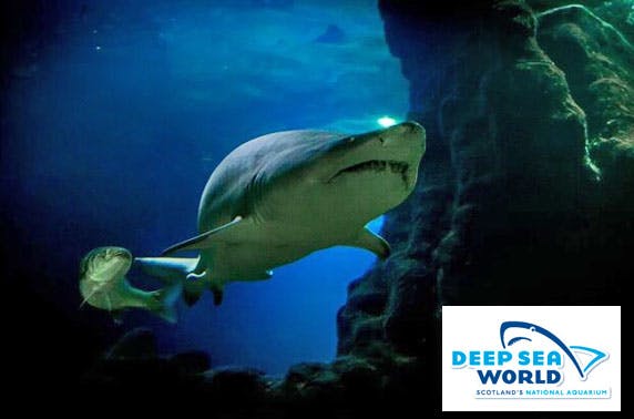 Deep Sea World