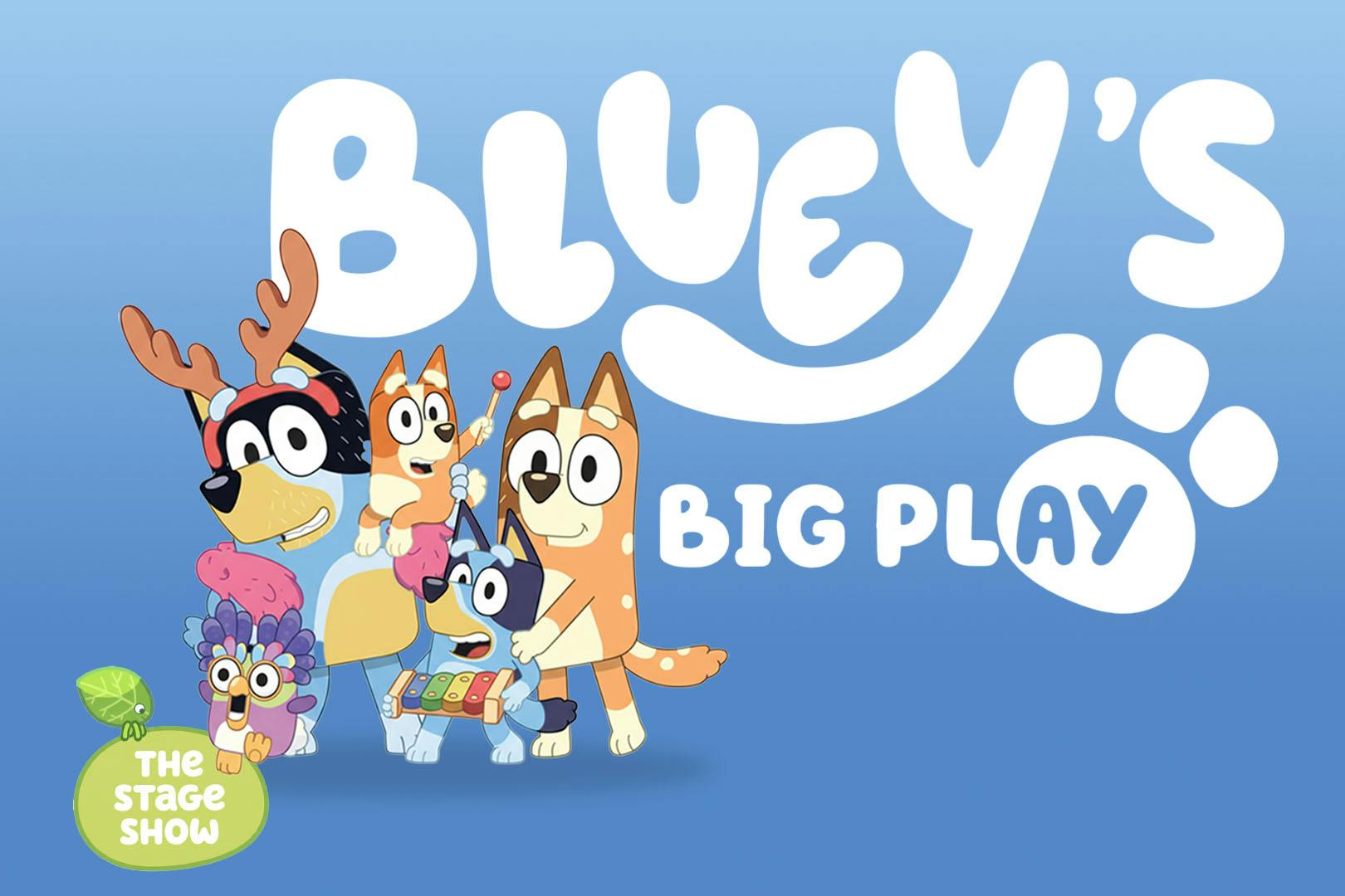 Bluey's Big Play at the SEC