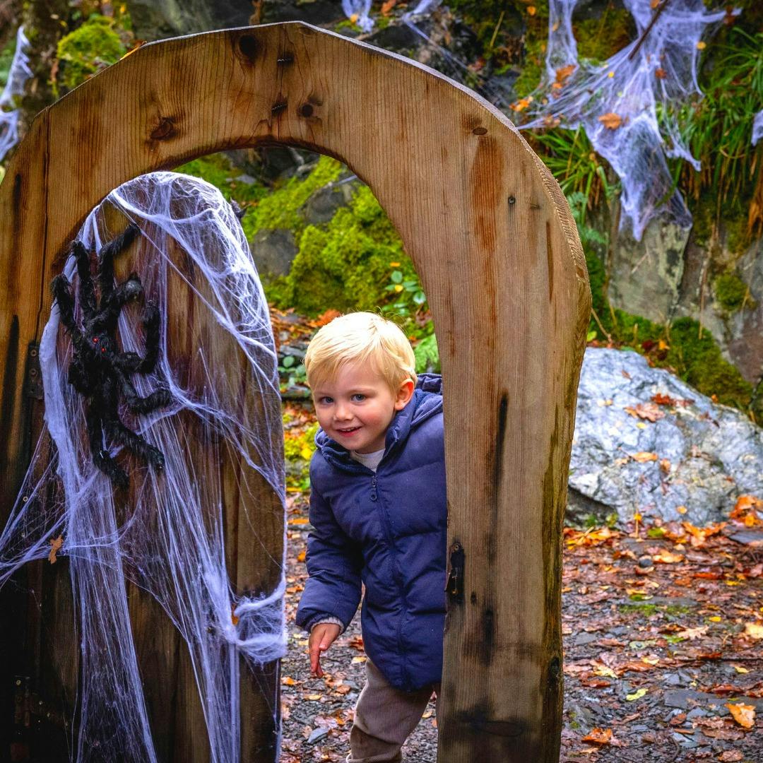 Loch Lomond Scary Trail