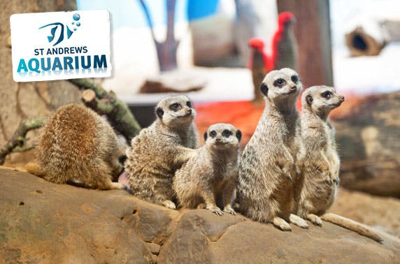 St Andrews Aquarium