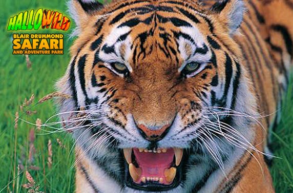 Blair Drummond Safari Park