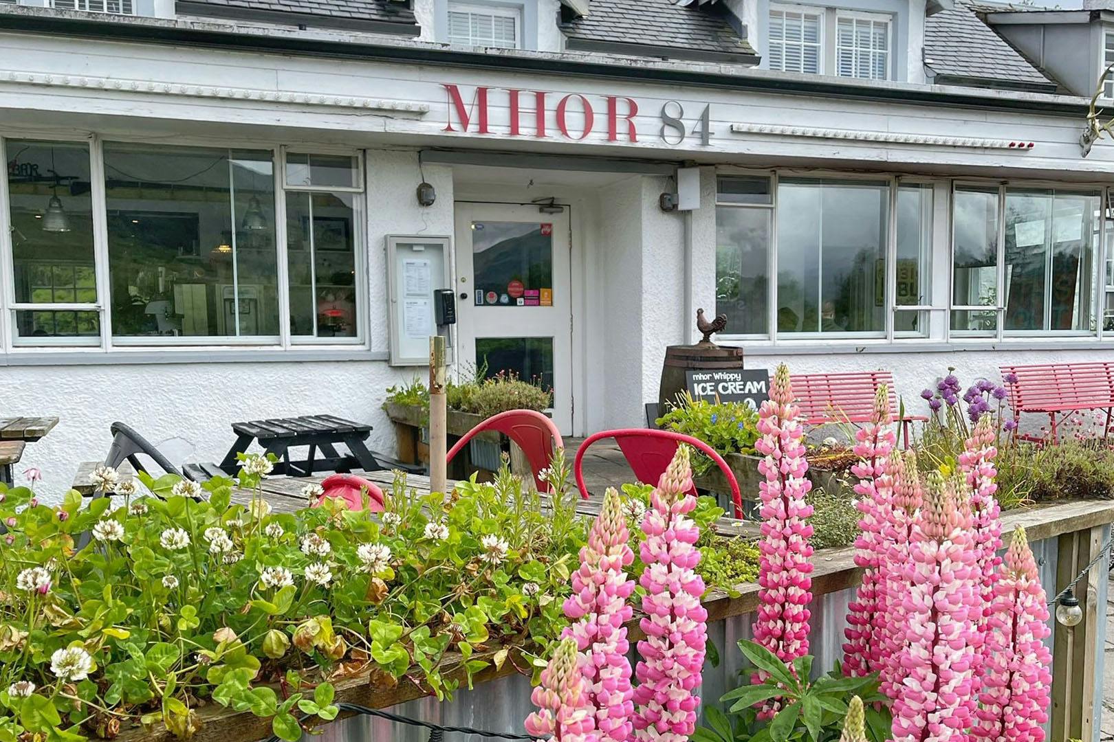 MHOR 84