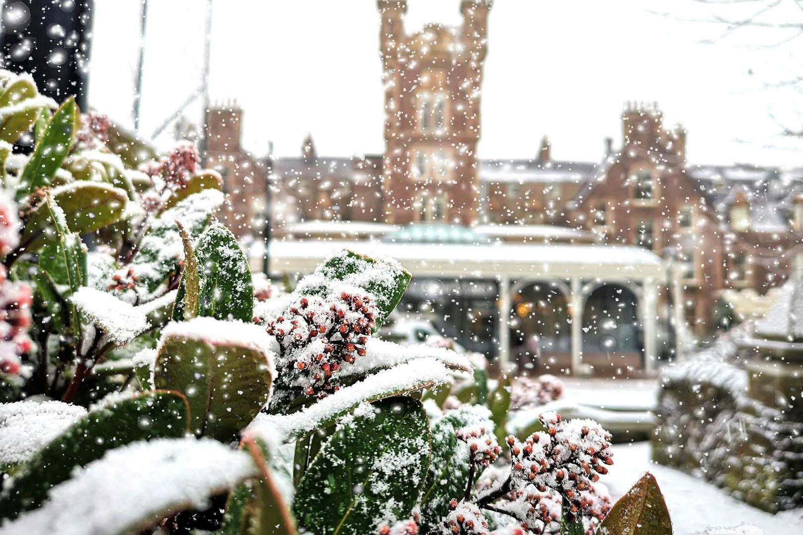 Crieff Hydro reindeer experience