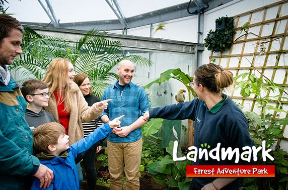 Landmark Forest Adventure Park
