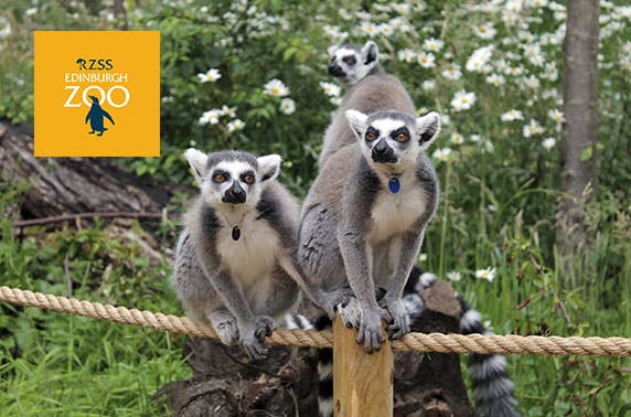 Edinburgh Zoo