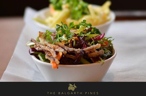 The Balgarth Pines