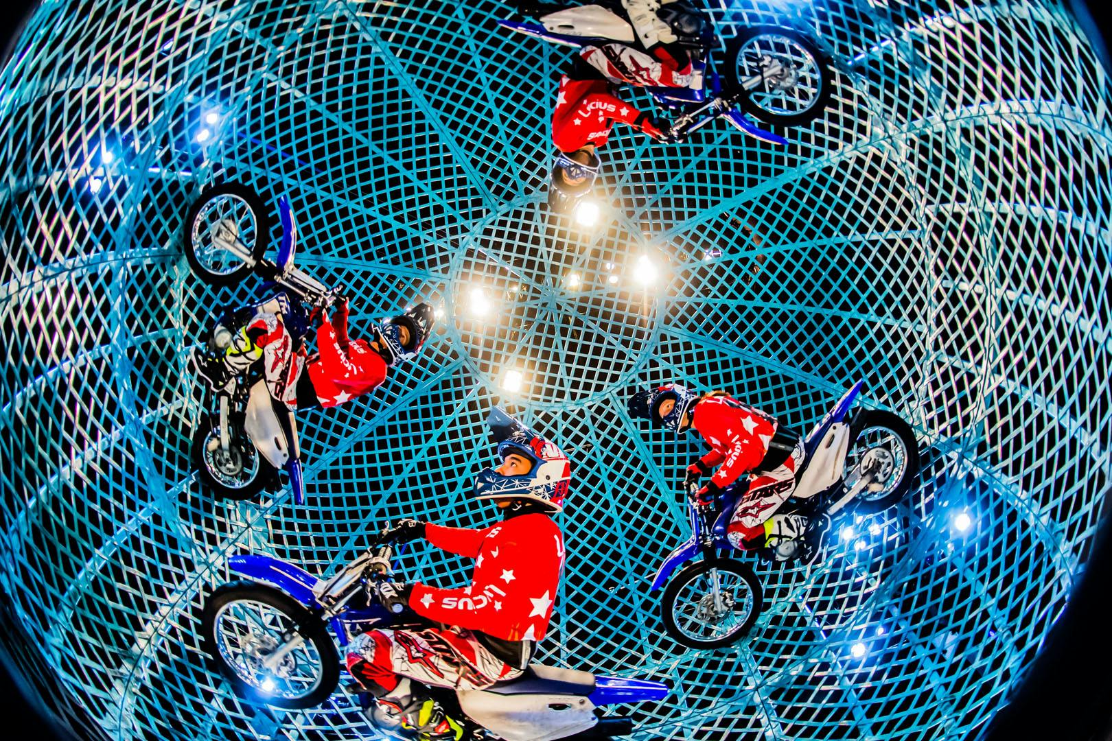 Zippos Circus, Victoria Park