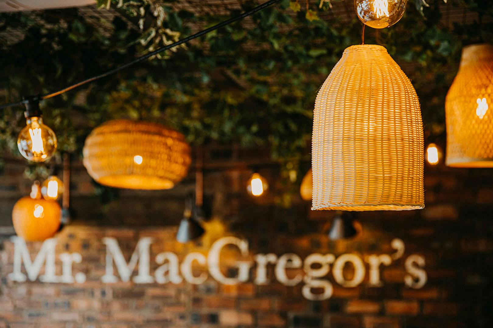 Mr MacGregor's