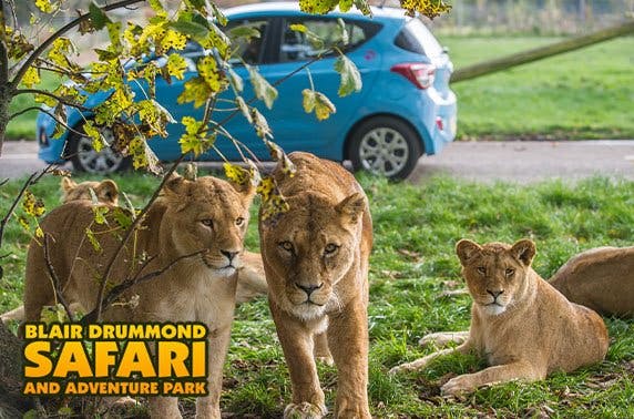 Blair Drummond Safari and Adventure Park 