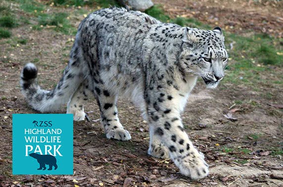 The Highland Wildlife Park