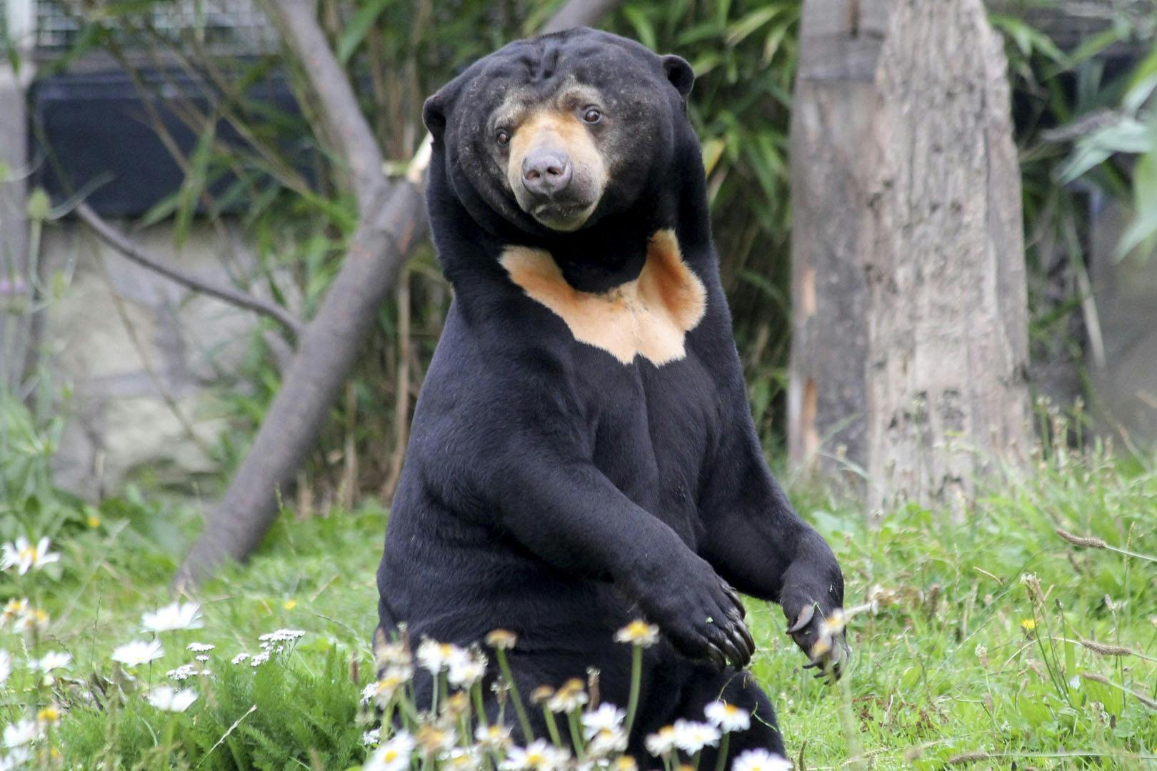 Edinburgh Zoo