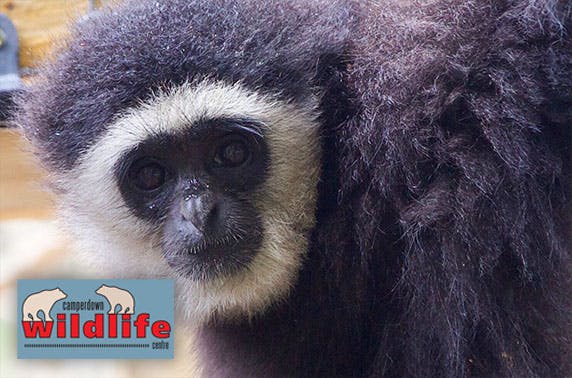 Camperdown Wildlife Centre