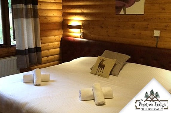 Pinetree Lodge Log Cabin Hotel