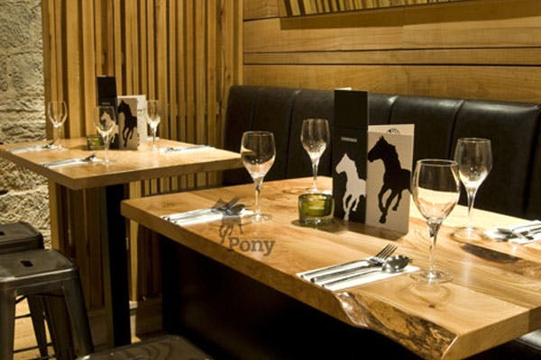 Bath Street Palomino