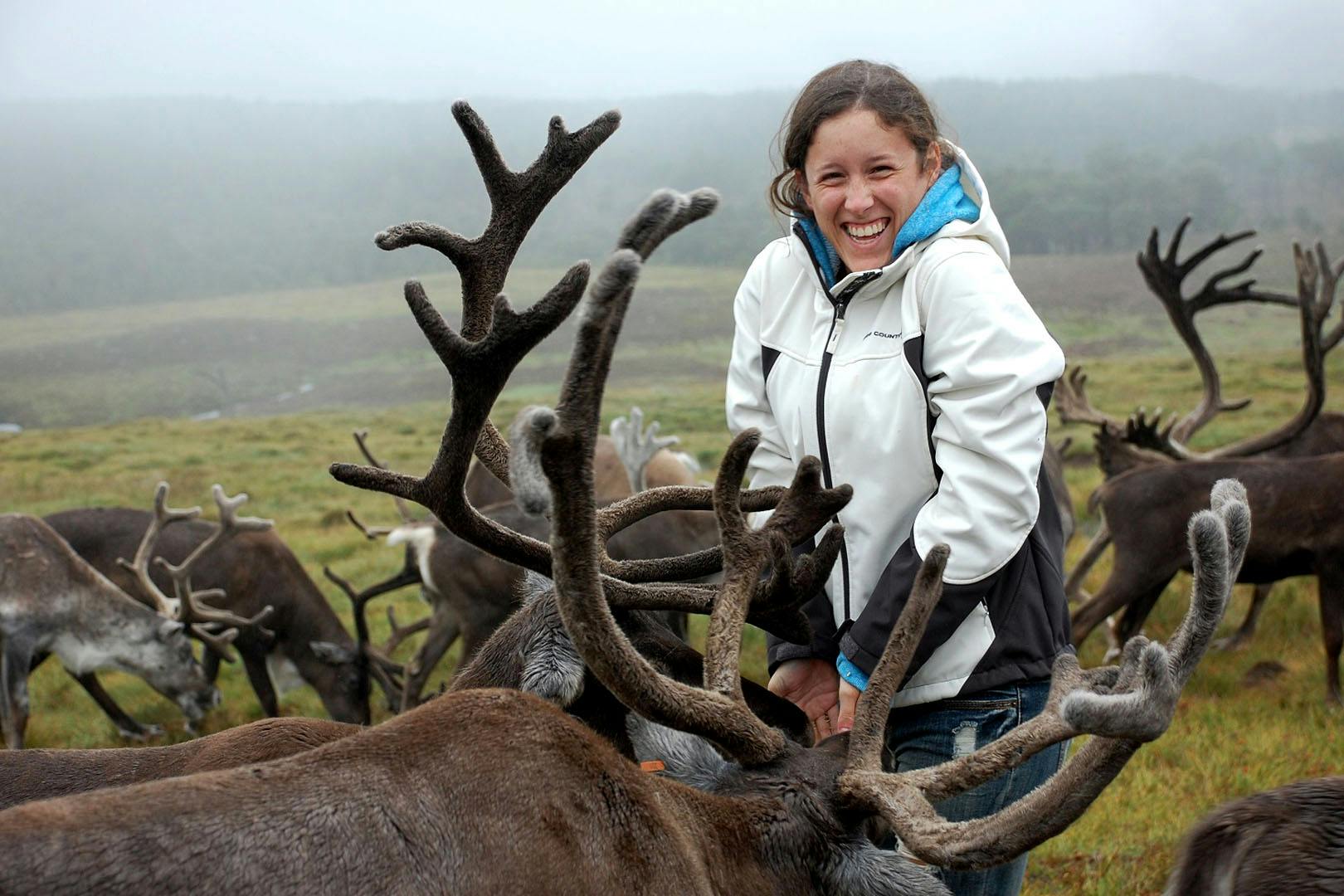 4* Macdonald Aviemore Highland Resort