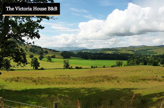 The Victoria House B&B