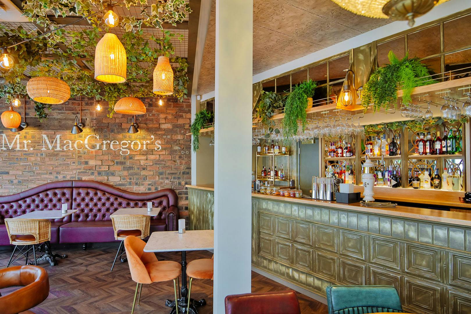 Mr MacGregor's