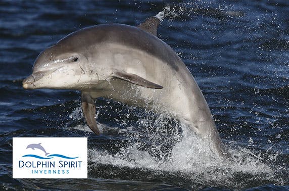 Dolphin Spirit Inverness
