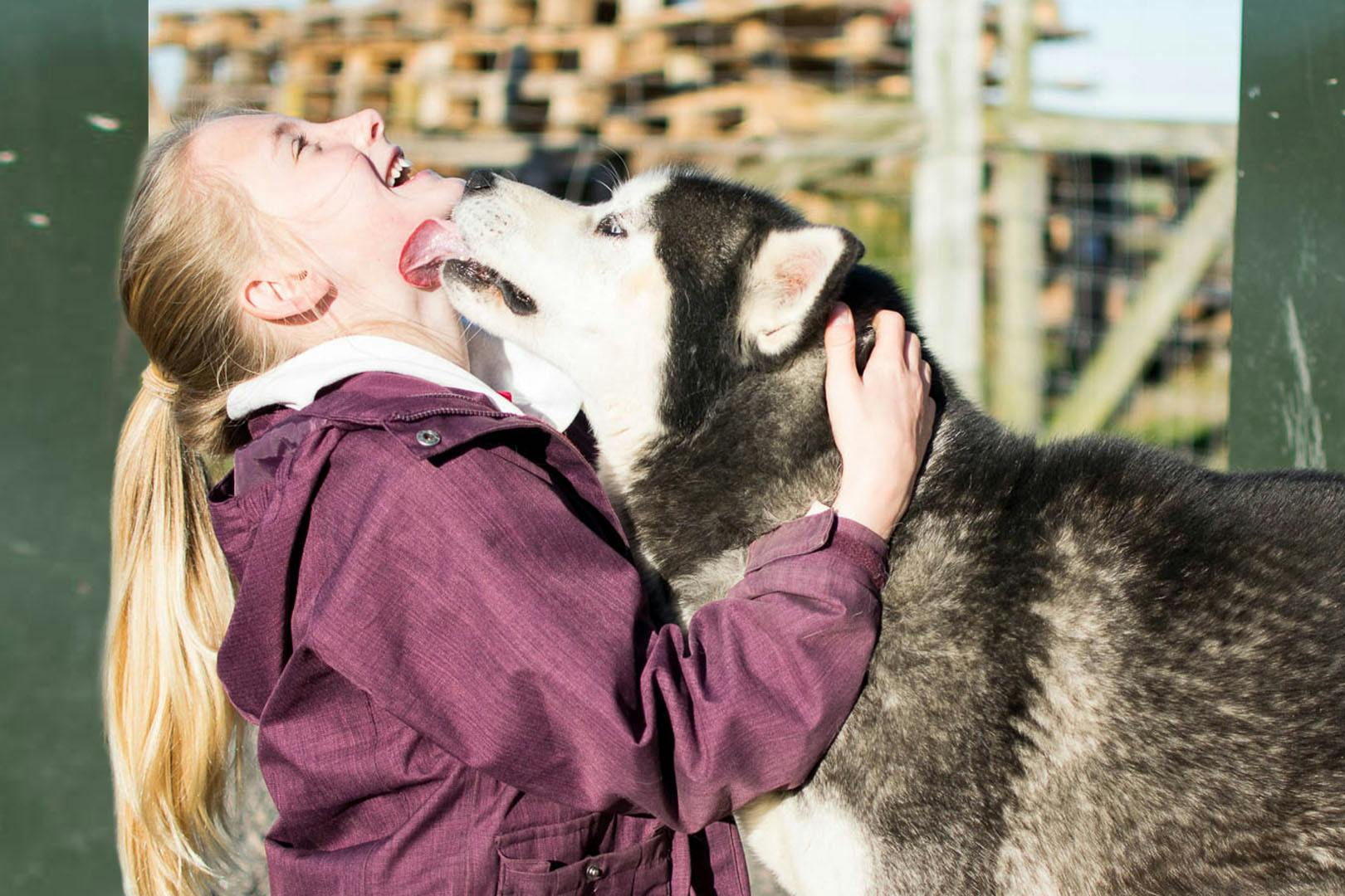 Huskyhaven