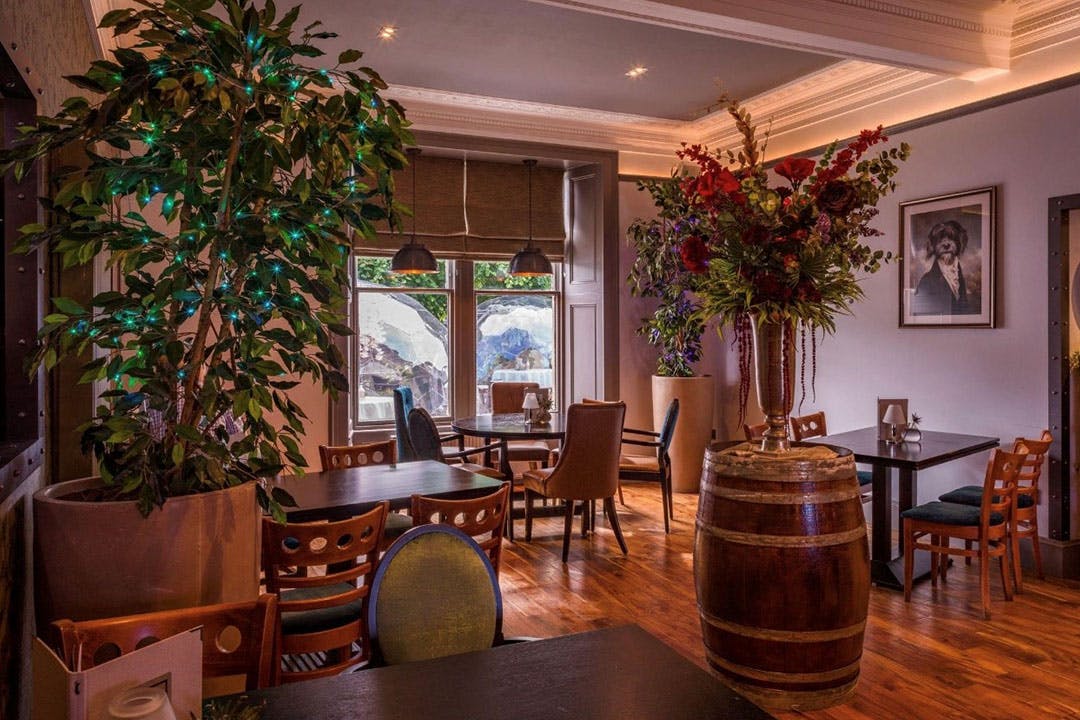 The Fox & Willow