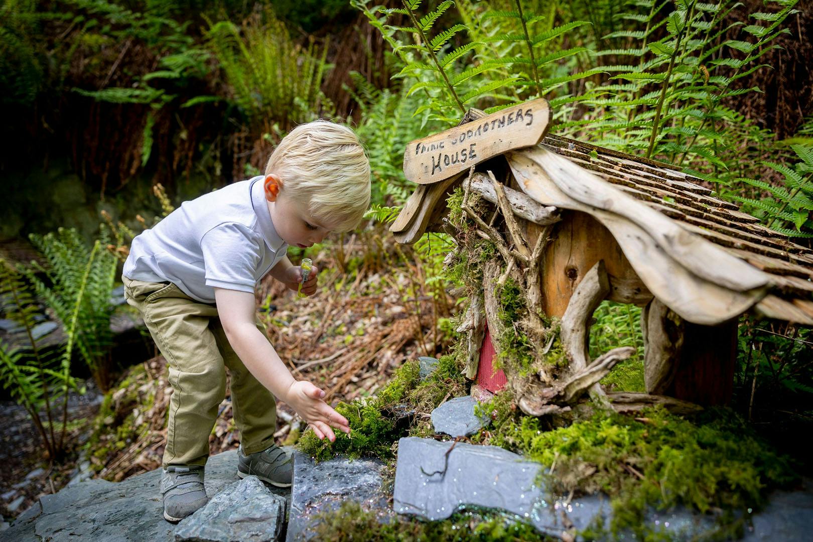 Loch Lomond Faerie Trail